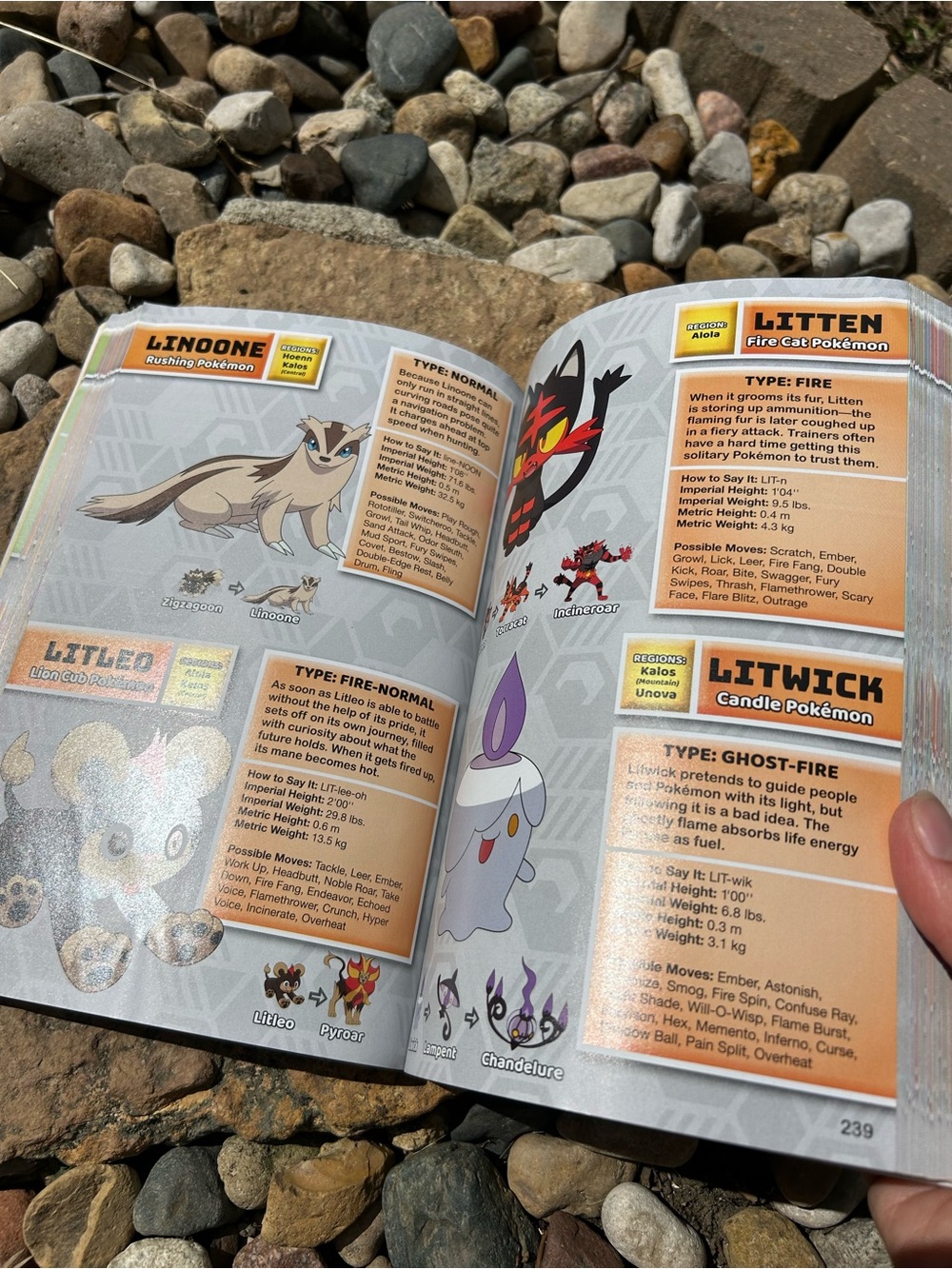 Pokémon Super Deluxe Essential Handbook - Picture 11 of 13